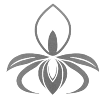 OBI Logo